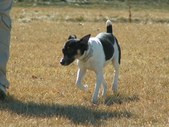 Enlarge photo 45