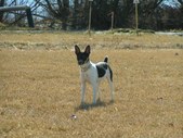 Enlarge photo 47