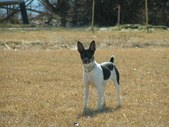Enlarge photo 48