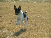 Enlarge photo 49