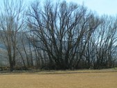 Enlarge photo 54