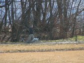 Enlarge photo 56