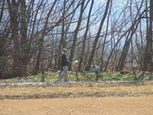 Enlarge photo 57