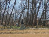 Enlarge photo 58