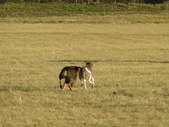 Enlarge photo 66