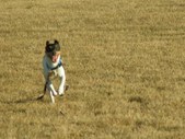 Enlarge photo 71
