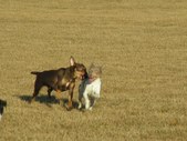Enlarge photo 81