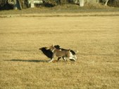 Enlarge photo 84