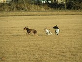 Enlarge photo 88