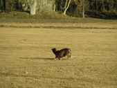 Enlarge photo 89