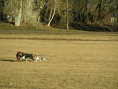 Enlarge photo 91