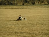 Enlarge photo 93