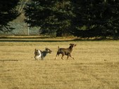Enlarge photo 97