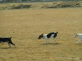 Enlarge photo 104