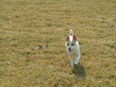 Enlarge photo 105