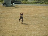 Enlarge photo 107