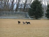 Enlarge photo 112