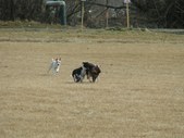Enlarge photo 113