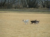Enlarge photo 114