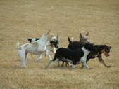 Enlarge photo 116