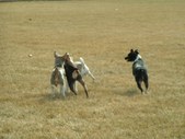 Enlarge photo 118