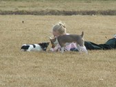 Enlarge photo 123