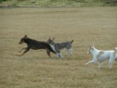 Enlarge photo 124