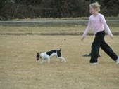 Enlarge photo 126