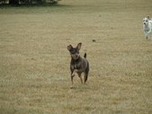 Enlarge photo 127