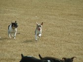 Enlarge photo 128