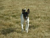 Enlarge photo 129