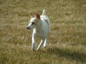 Enlarge photo 130