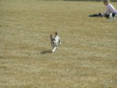 Enlarge photo 132