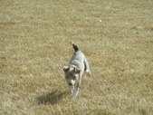 Enlarge photo 133