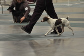 Enlarge photo 40