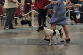 Enlarge photo 43
