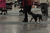 Enlarge photo 52