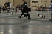 Enlarge photo 77