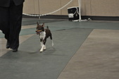 Enlarge photo 127