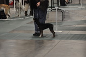 Enlarge photo 138