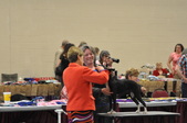 Enlarge photo 149