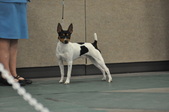 Enlarge photo 178