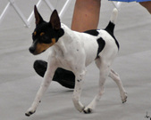 Enlarge photo 8
