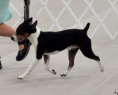 Enlarge photo 26