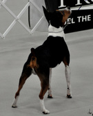Enlarge photo 27