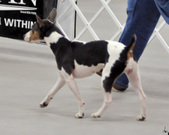 Enlarge photo 36