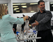 Enlarge photo 45