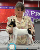 Enlarge photo 53