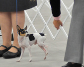 Enlarge photo 14