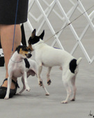 Enlarge photo 15